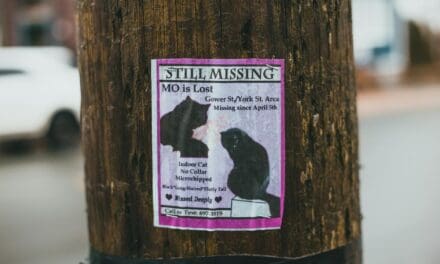 Workflow Trick: Set Callback Reminders for Missed Calls on iPhone